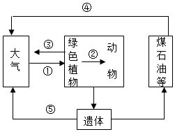 菁優(yōu)網