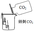 菁優(yōu)網