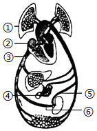 菁優(yōu)網(wǎng)