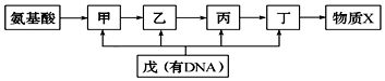 菁優(yōu)網(wǎng)