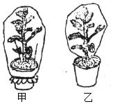 菁優(yōu)網(wǎng)