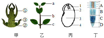 菁優(yōu)網(wǎng)