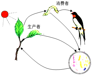 菁優(yōu)網(wǎng)