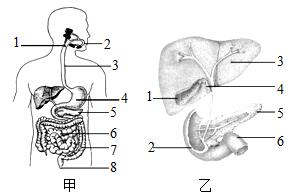 菁優(yōu)網