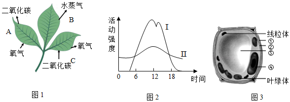 菁優(yōu)網(wǎng)