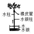 菁優(yōu)網(wǎng)