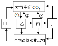 菁優(yōu)網(wǎng)