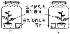 菁優(yōu)網(wǎng)