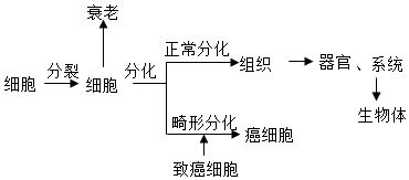 菁優(yōu)網