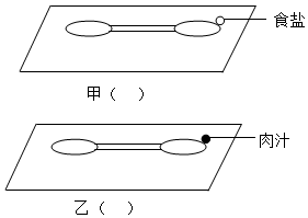 菁優(yōu)網