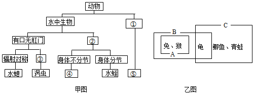 菁優(yōu)網(wǎng)