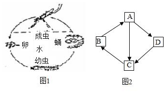 菁優(yōu)網(wǎng)