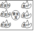 菁優(yōu)網(wǎng)