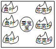 菁優(yōu)網(wǎng)