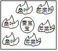 菁優(yōu)網(wǎng)