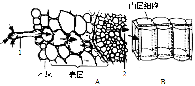 菁優(yōu)網(wǎng)