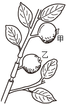 菁優(yōu)網(wǎng)