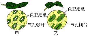 菁優(yōu)網