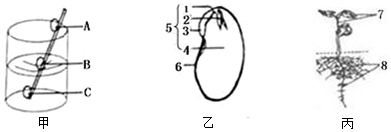 菁優(yōu)網(wǎng)