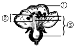 菁優(yōu)網