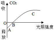 菁優(yōu)網(wǎng)