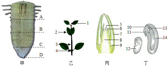 菁優(yōu)網(wǎng)