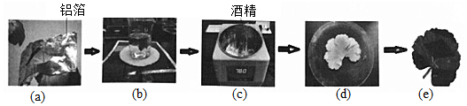 菁優(yōu)網(wǎng)