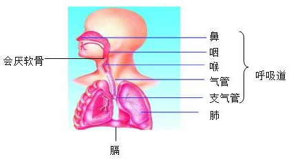 菁優(yōu)網