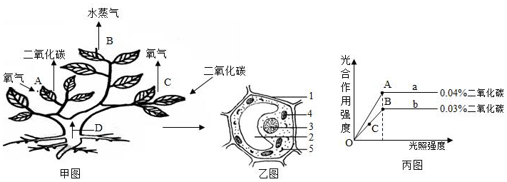 菁優(yōu)網(wǎng)