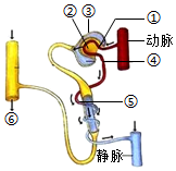 菁優(yōu)網(wǎng)