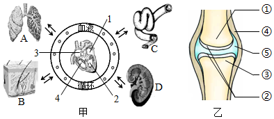 菁優(yōu)網(wǎng)