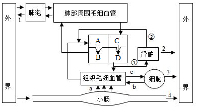 菁優(yōu)網(wǎng)