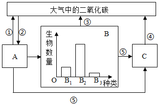 菁優(yōu)網(wǎng)