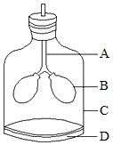 菁優(yōu)網(wǎng)