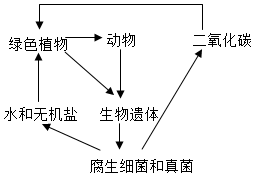 菁優(yōu)網