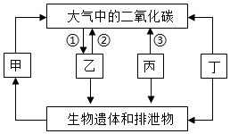 菁優(yōu)網(wǎng)