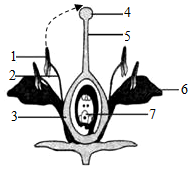 菁優(yōu)網(wǎng)