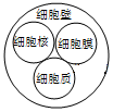 菁優(yōu)網(wǎng)