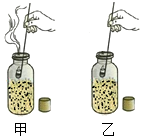 菁優(yōu)網(wǎng)