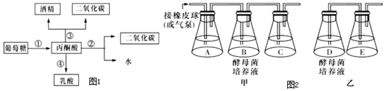 菁優(yōu)網