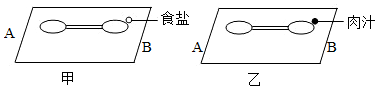 菁優(yōu)網(wǎng)