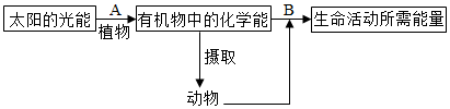 菁優(yōu)網(wǎng)