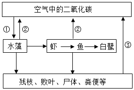 菁優(yōu)網