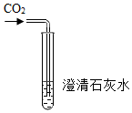 菁優(yōu)網