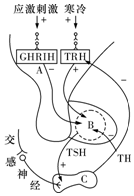 菁優(yōu)網(wǎng)