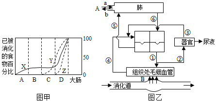 菁優(yōu)網(wǎng)