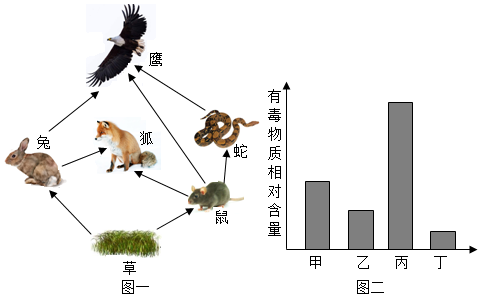 菁優(yōu)網