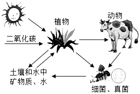 菁優(yōu)網