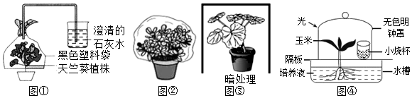 菁優(yōu)網(wǎng)