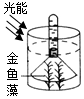 菁優(yōu)網(wǎng)